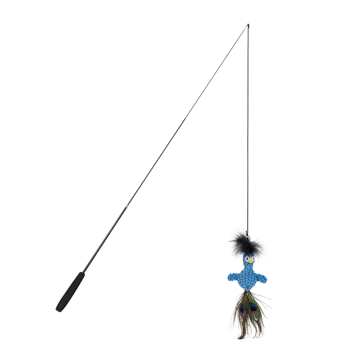 FabCat Floppy Peacock Teaser