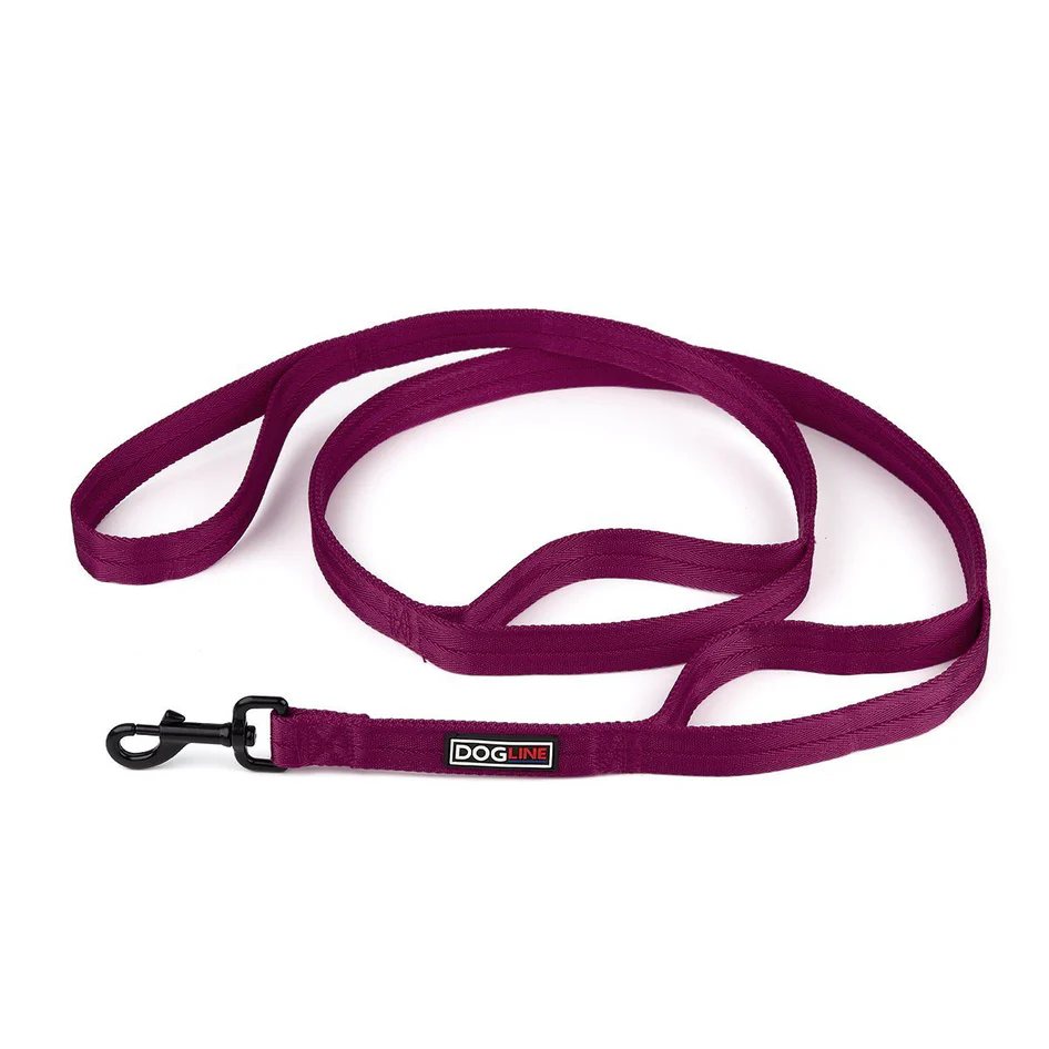 Dogline Leash 2 Handle 4ft