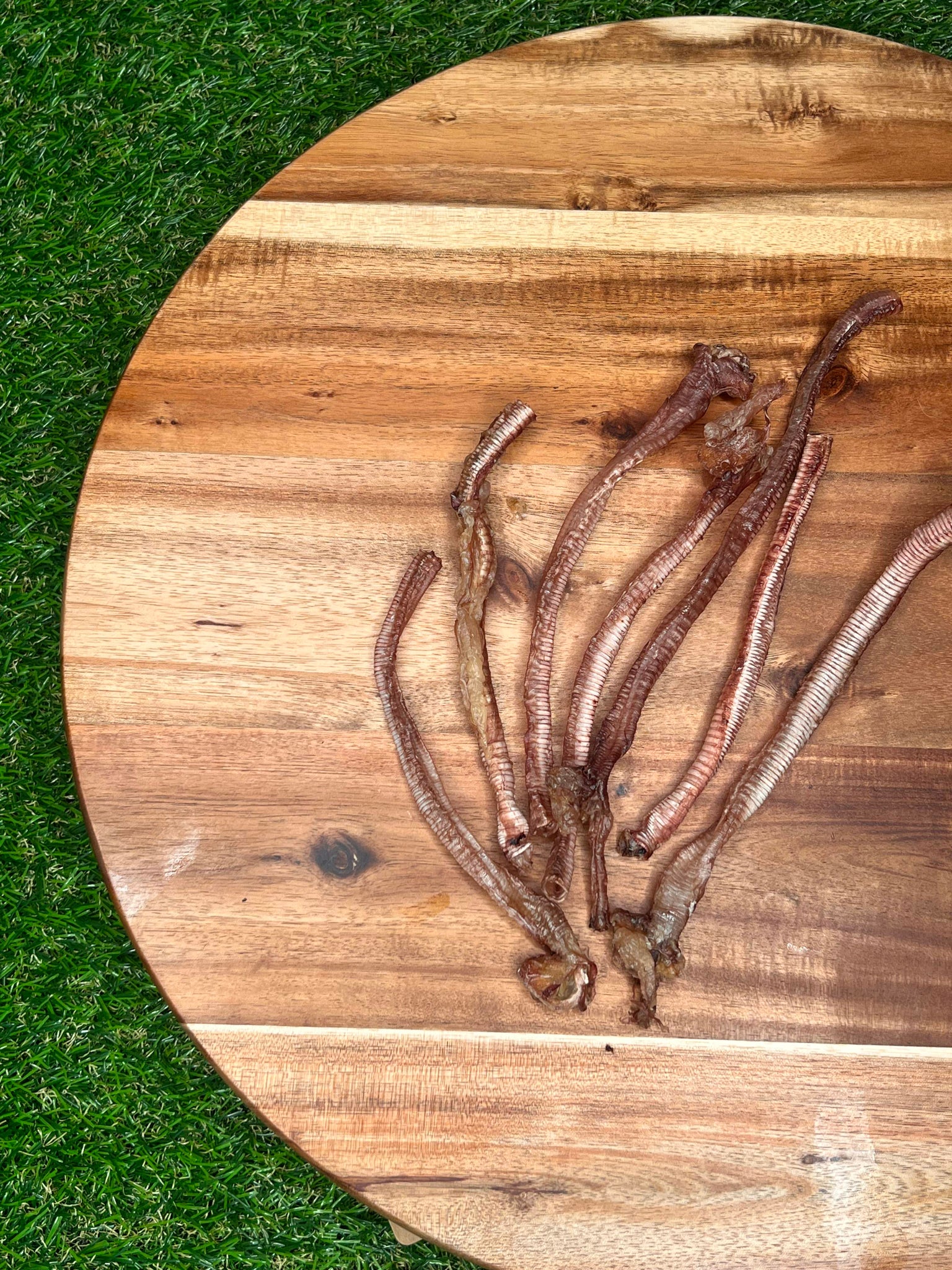 Furever Primal Duck Trachea