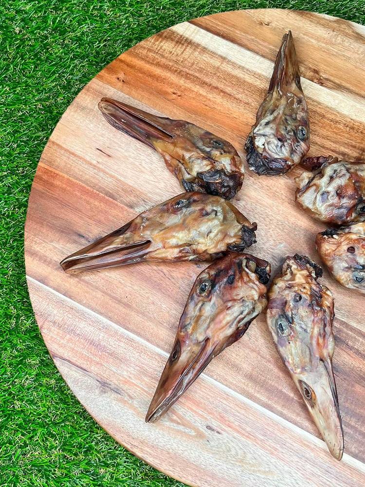 Furever Fierce Duck Head 3 Count