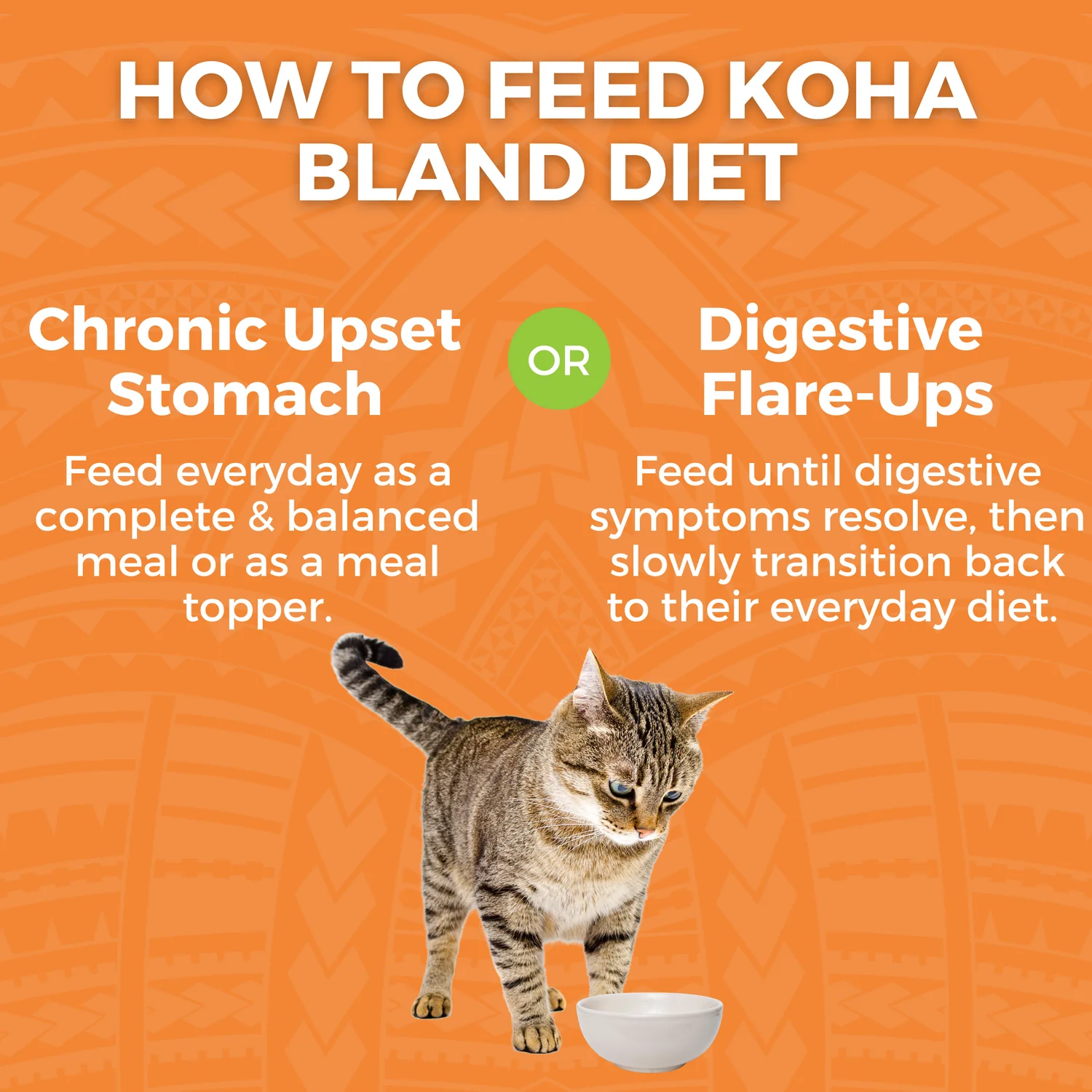 Koha Cat Limited Ingredient Bland Chicken & Rice Wet Food