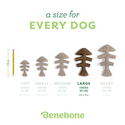 Benebone Dog Chew Fishbone Salmon