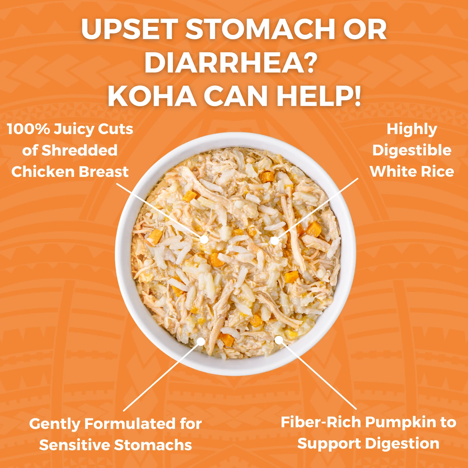 Koha Cat Limited Ingredient Bland Chicken & Rice Wet Food