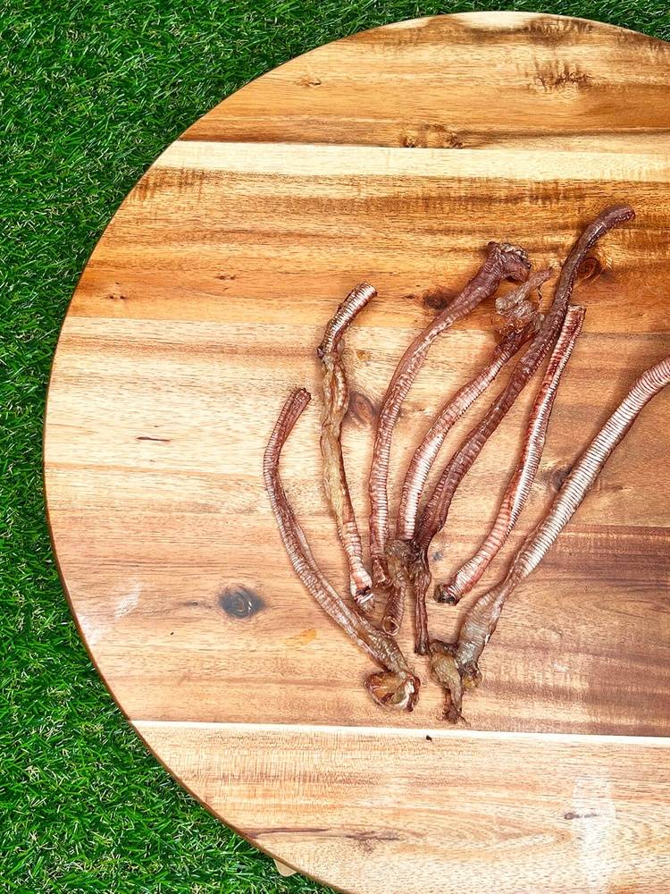 Furever Fierce Duck Trachea 15 Count