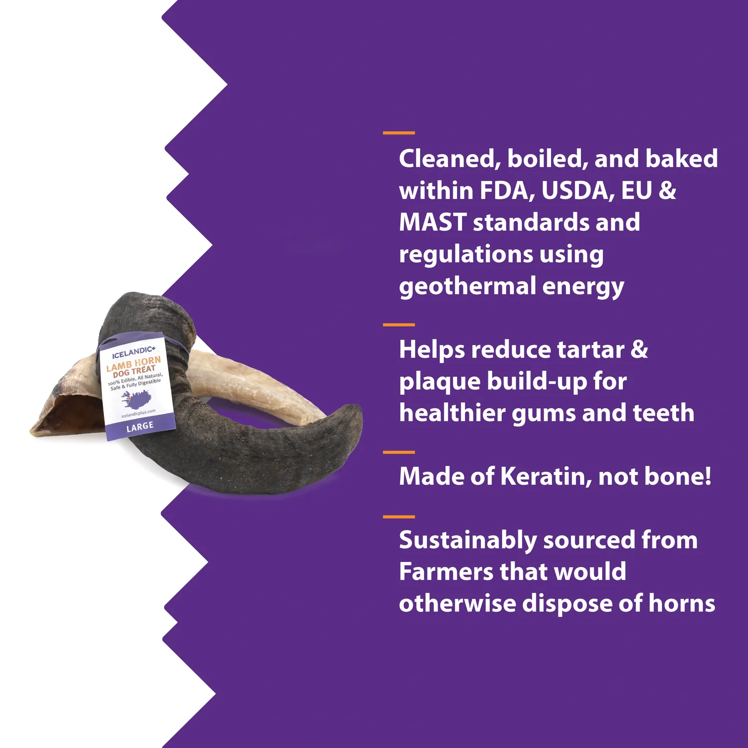 Icelandic Lamb Horn