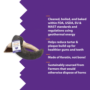 Icelandic Lamb Horn