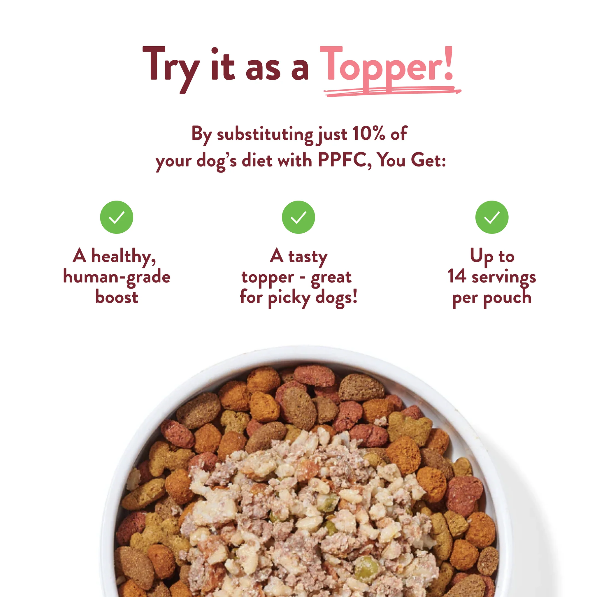 Portland Pet Salmon & Rice Pouch 9oz