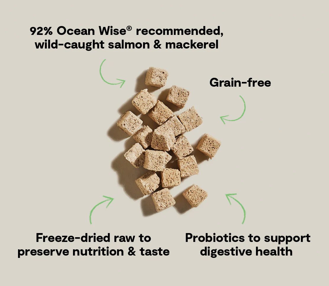 Open Farm Kitty Cubes Salmon & Mackerel Recipe 1.5oz