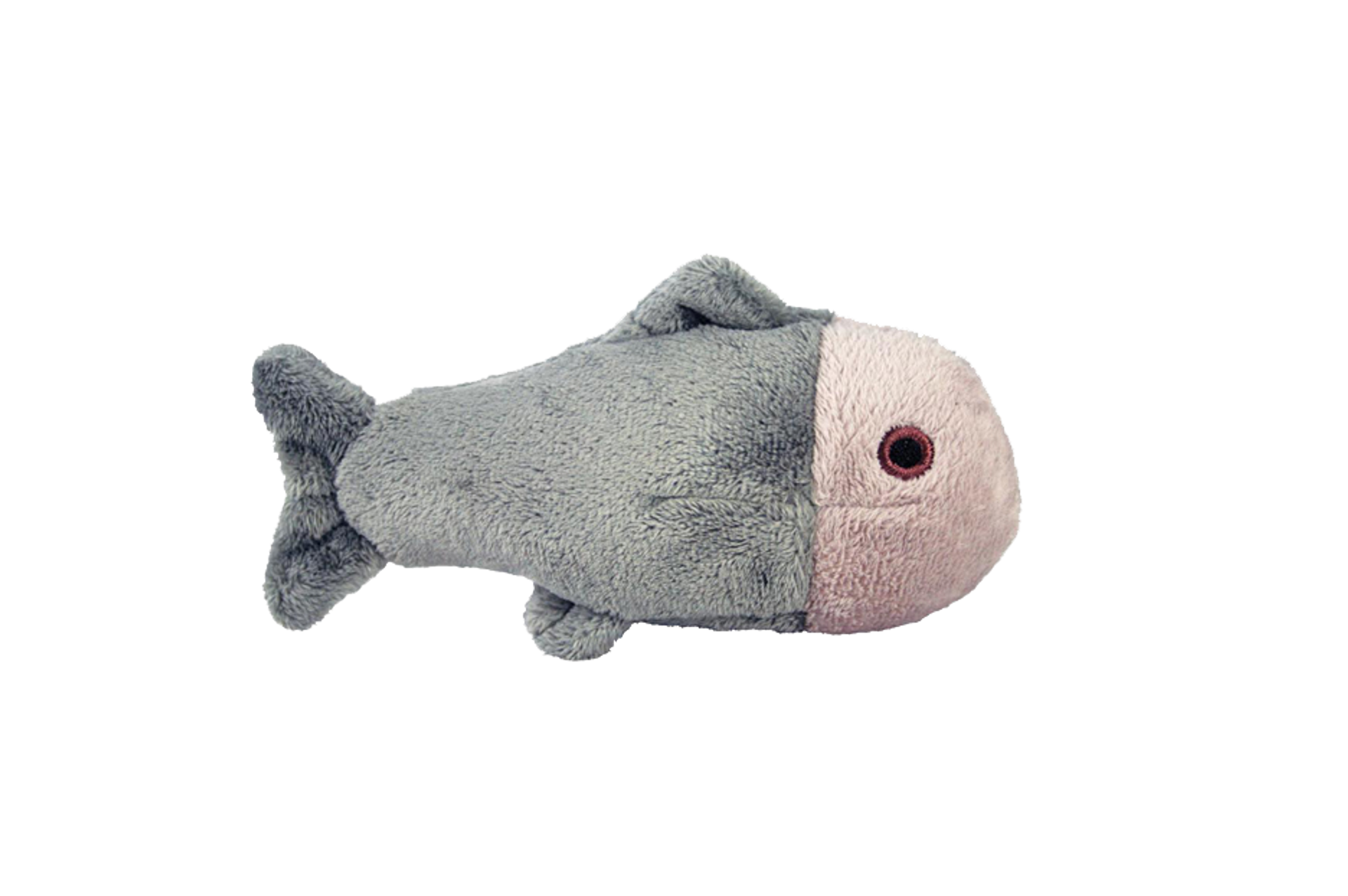 Fluff & Tuff Guppy Fish