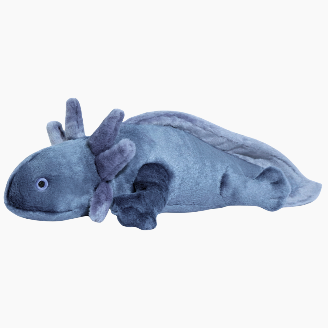 sa7esm58xgbkhaqaim7b_40c2b6a7-036c-4961-b1e2-8a9d8e18b19c.png