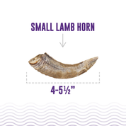 Icelandic Lamb Horn with Marrow
