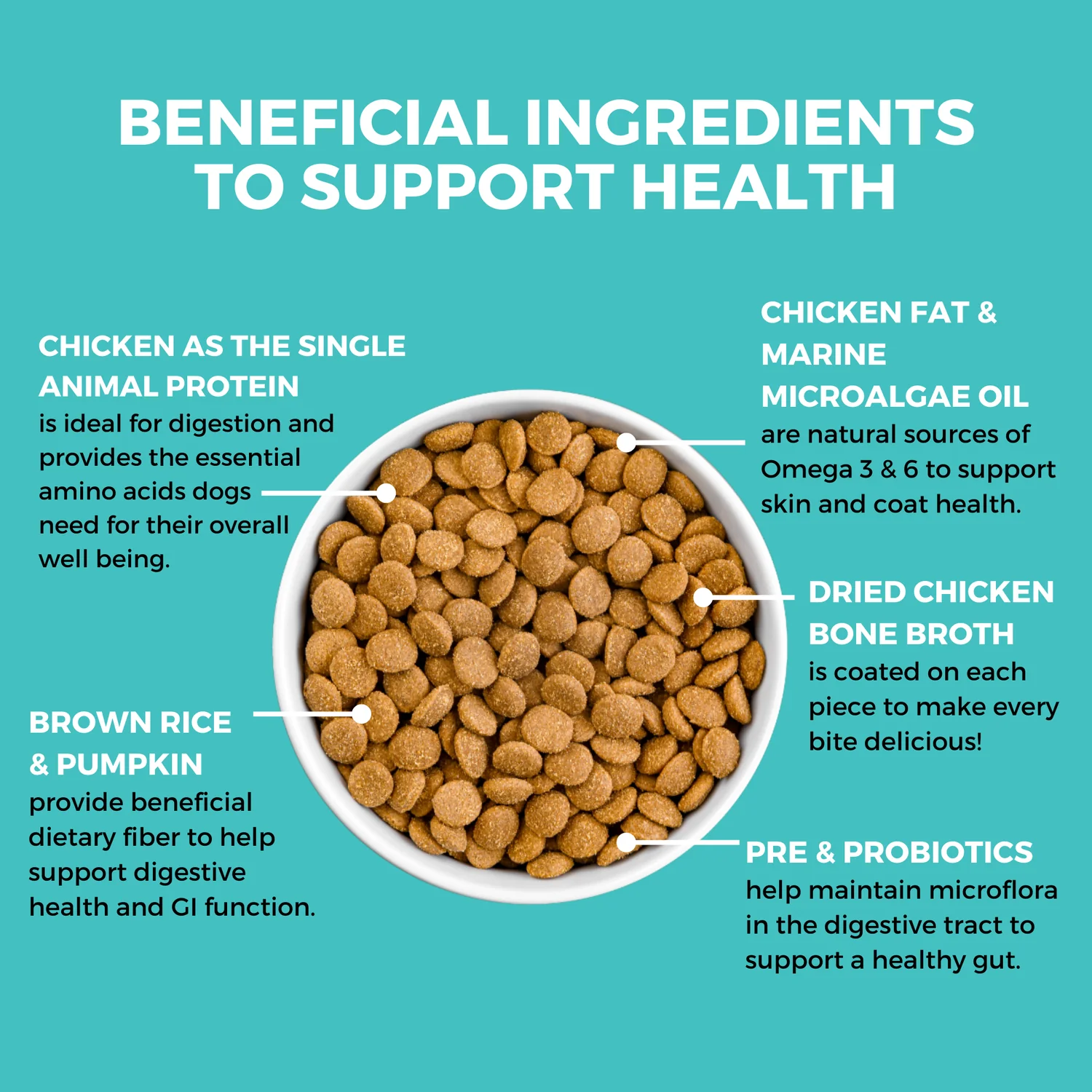 Koha LID Bland Diet Chicken & Brown Rice