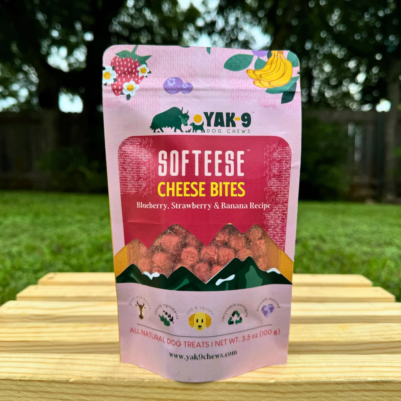 Yak9 Softeese Blueberry & Strawberry Cheese Bites 3.5oz