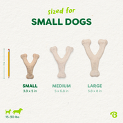 Benebone Green Wishbone