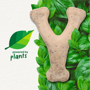 Benebone Green Wishbone