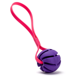 Dogline Rubber Spiral Ball With Biothane Handle Purple & Pink
