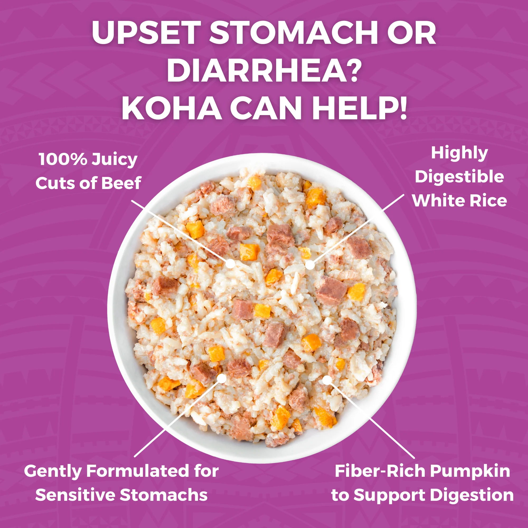 Koha Limited Ingredient Bland Diet Beef & Whie Rice Recipe 12.5oz
