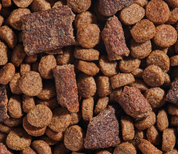 Open Farm Epic Blend Beef & Superfood Dry Dog Food