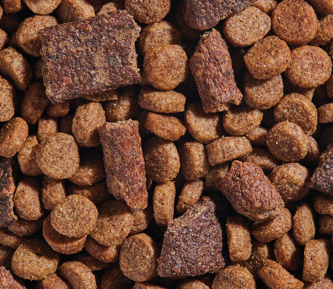 Open Farm Epic Blend Beef & Superfoods Dry Dog Food