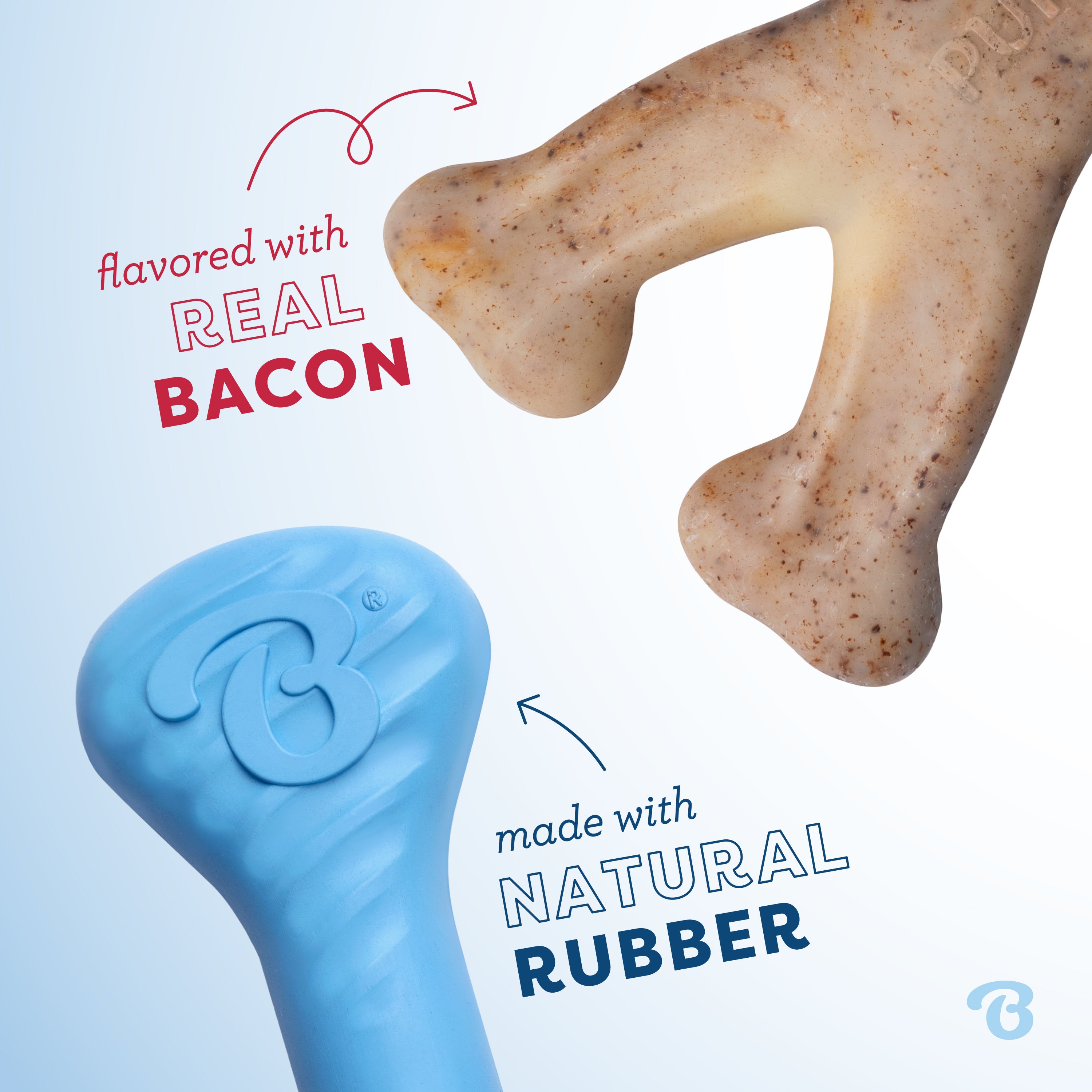Benebone Wishbone & Puppy Chew Tiny 2 Pack