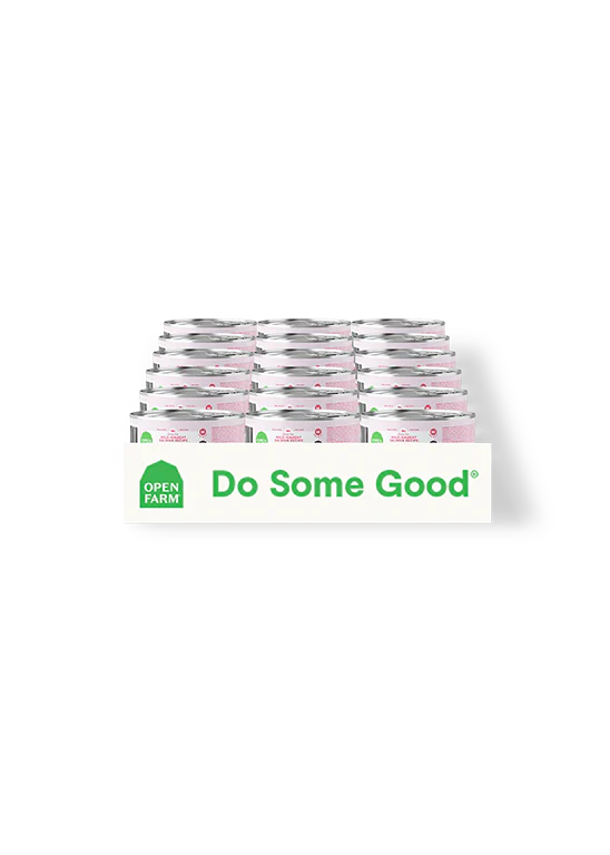 Open Farm Canned Cat Wild Caught Salmon Recipe Pate