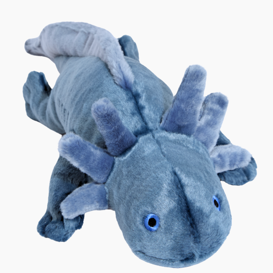 zxai9ussmbohhbt8dnkv_a5c28a72-52eb-408d-837e-97b69706e744.png