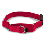 Petsafe Quick Snap Martingale Collar Red