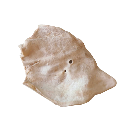 Bones & Co Freeze Dried Pig Ear