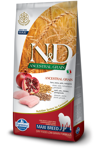 Farmina Dog Ancestral Grain Chicken & Pomegranate Med & Maxi 26.4lb