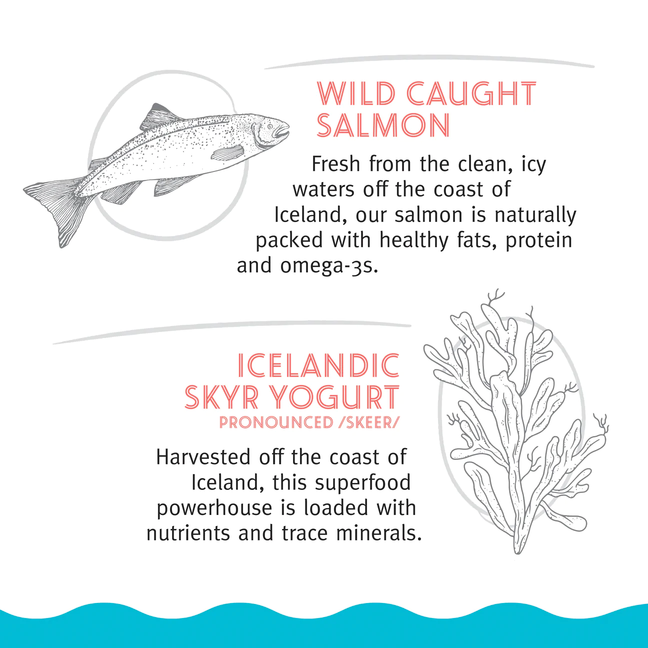 Icelandic Cat Soft Chew Salmon & Seaweed Nibblets 2.25oz