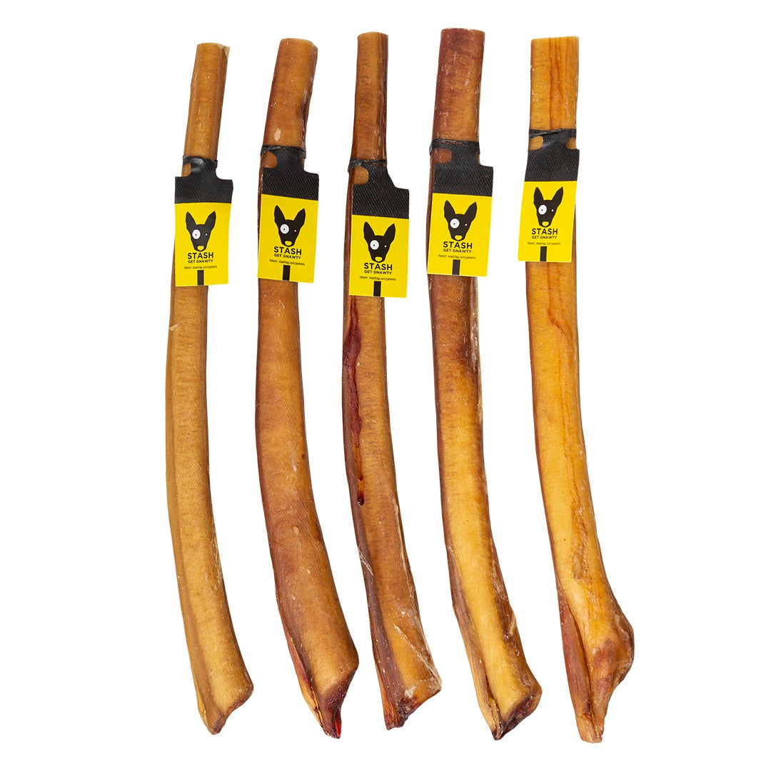 Diggin Your Dog Stash Bully Stick