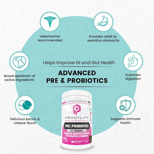 Nootie Progility Pre & Probiotics Supplement Soft Chew 90 Count