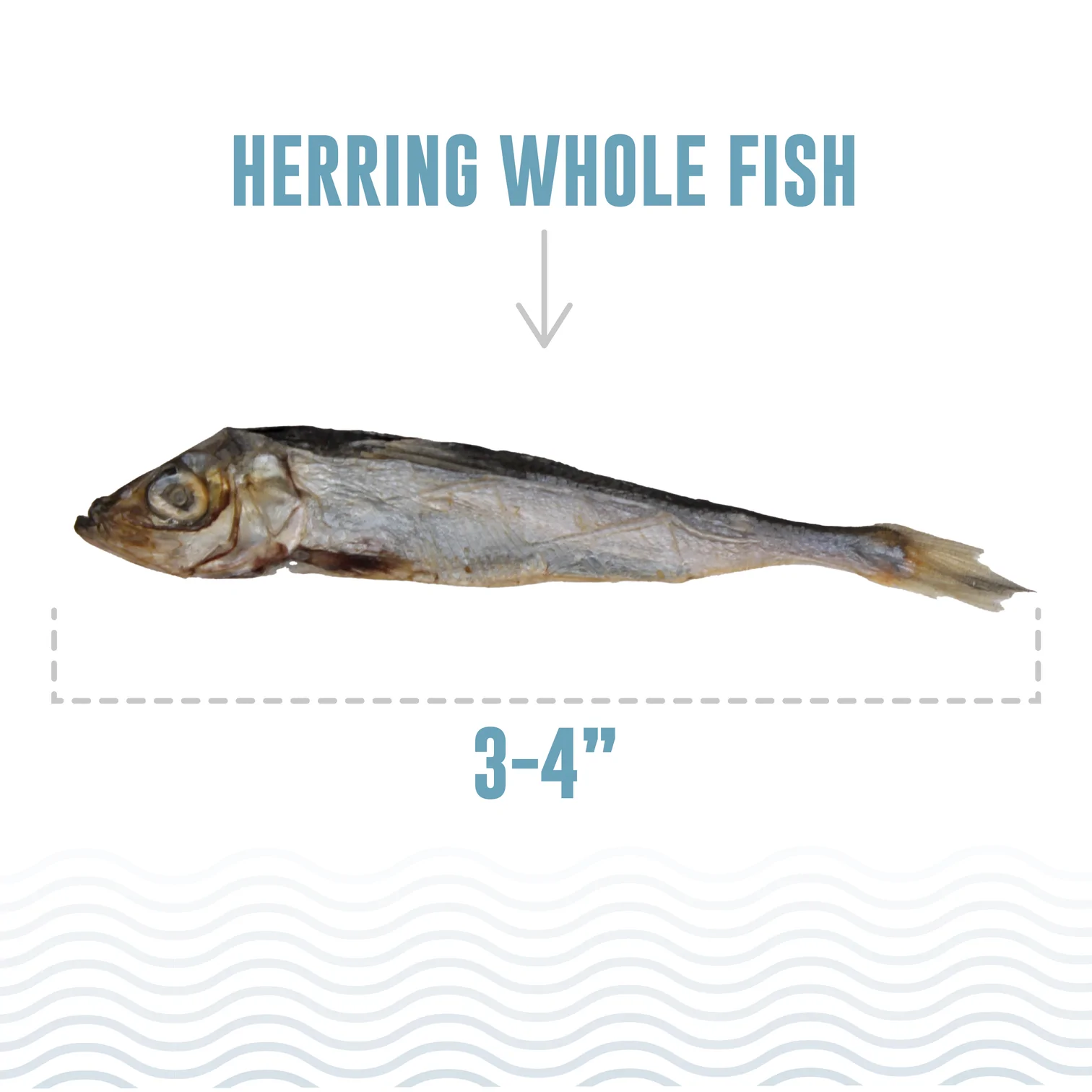 Icelandic Whole Herring 9oz