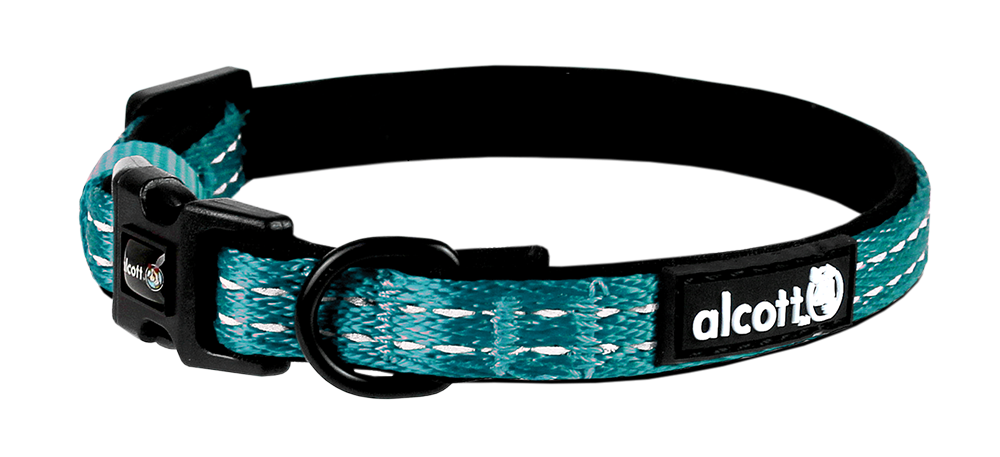 Alcott Dog Collar Blue