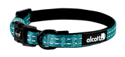 Alcott Dog Collar Blue