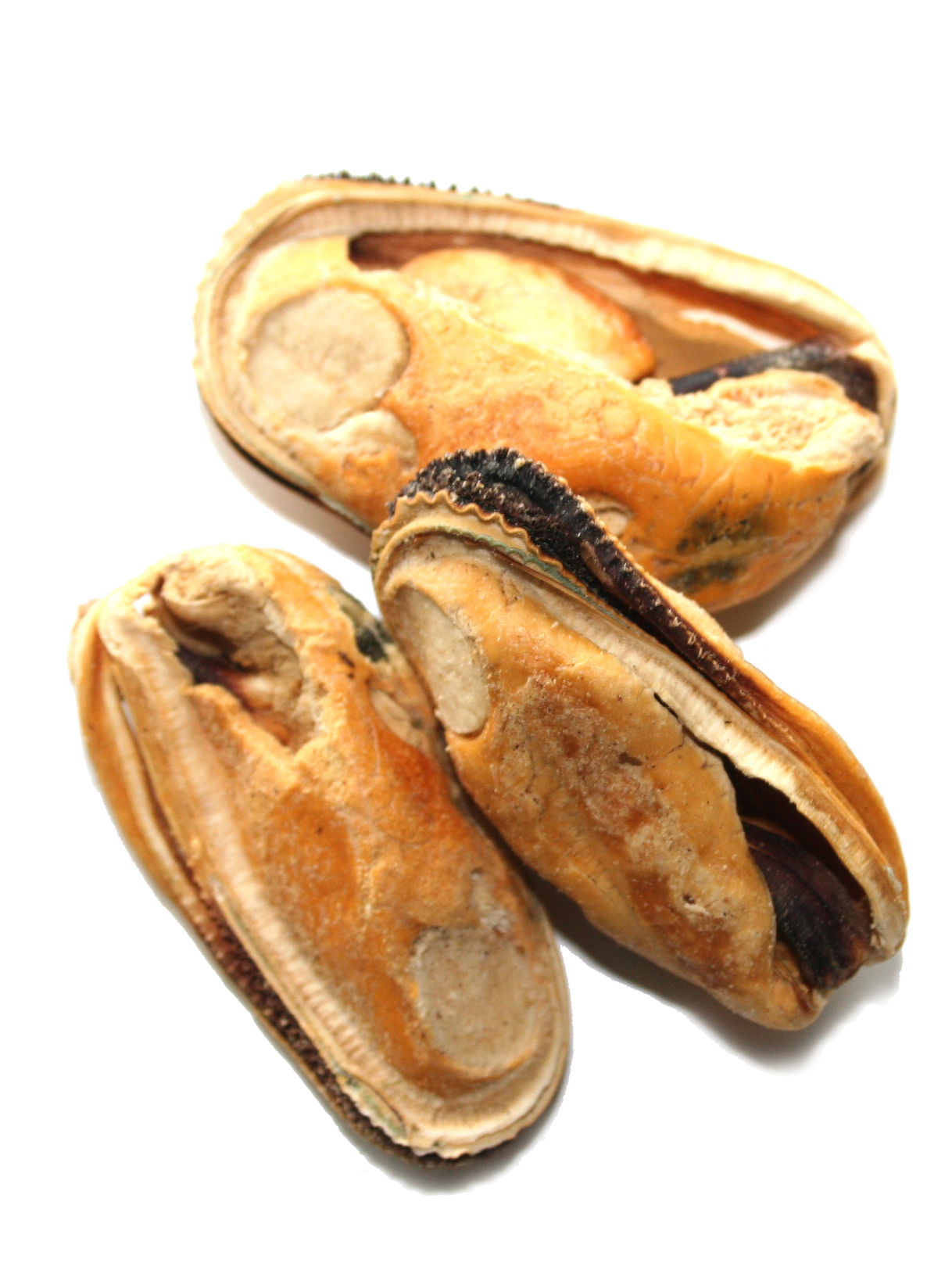 New Zealand Natural Woof Green Lipped Mussel Treat 1.76oz