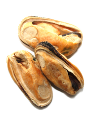New Zealand Natural Woof Green Lipped Mussel Treat 1.76oz