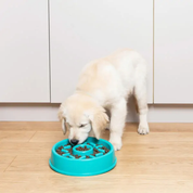 Zippy Paws Happy Bowl Donut