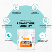 Nootie Progility Minis Hip & Joint Supplement Soft Chews 60 Count