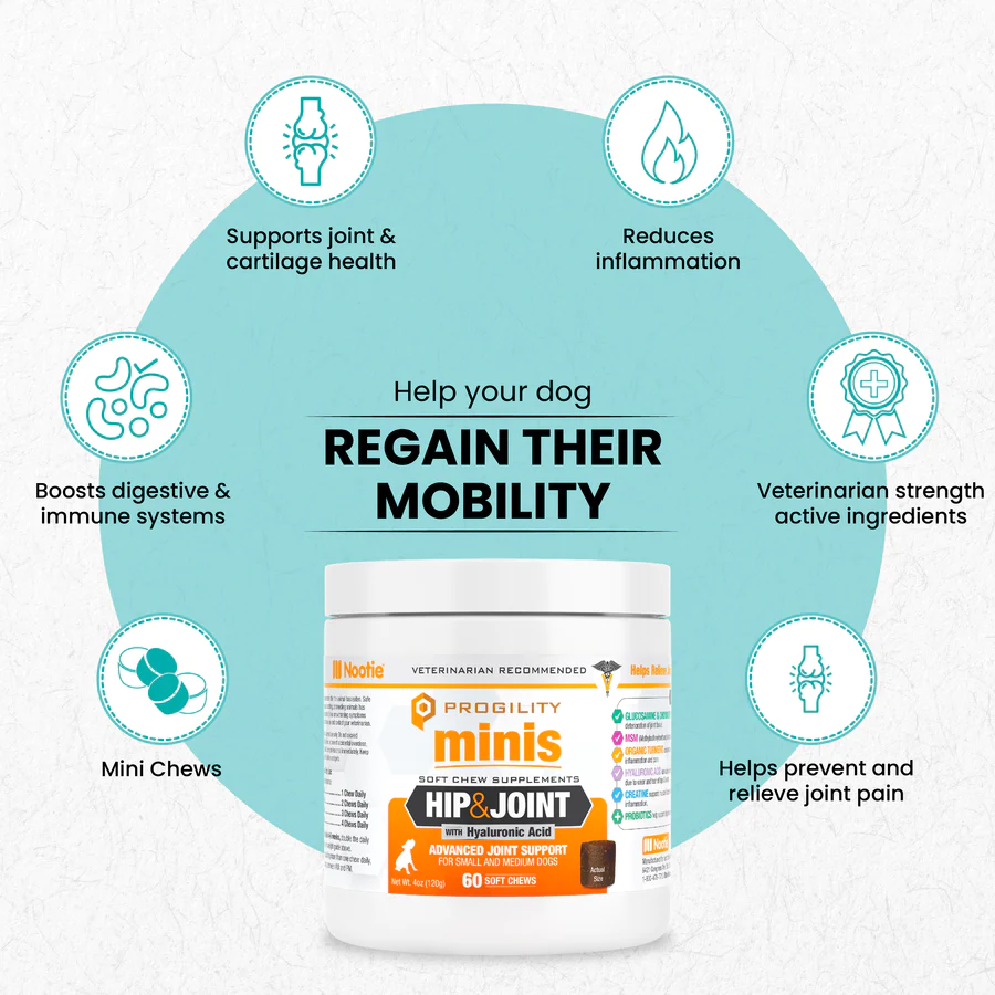 Nootie Progility Minis Hip & Joint Supplement Soft Chews 60 Count