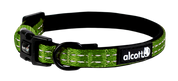 Alcott Dog Collar Green