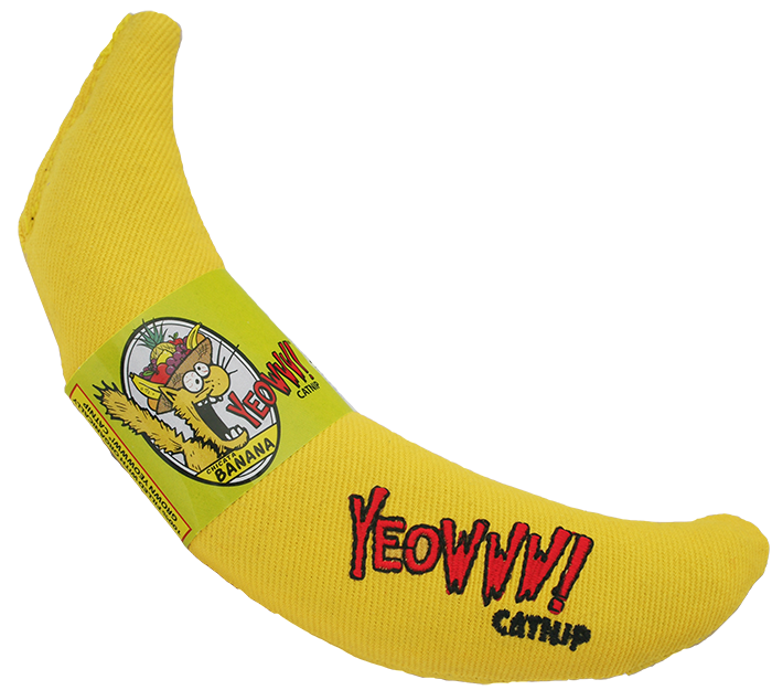 9944d8e8981b3fb9e0716225078a4557.png