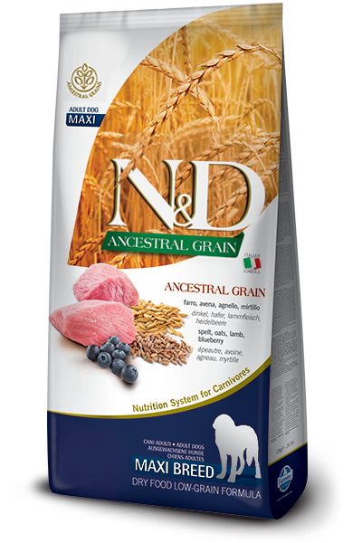 Farmina Dog Ancestral Grain Lamb & Blueberry Med & Maxi 26.4lb