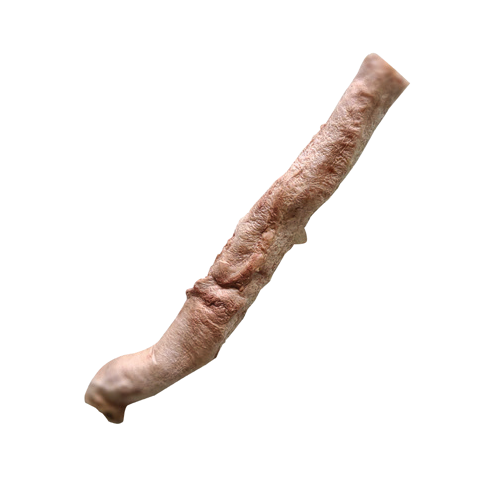 Bones & Co Freeze Dried Bully Stick