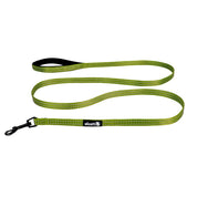 Alcott Adventure Leash Green